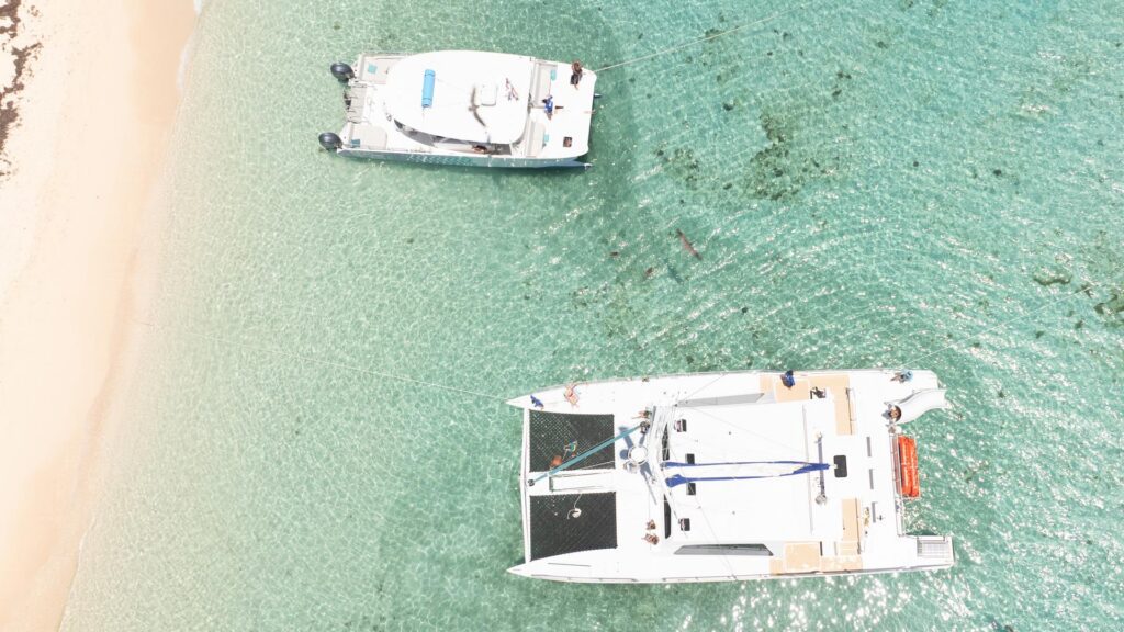 East Island Tours