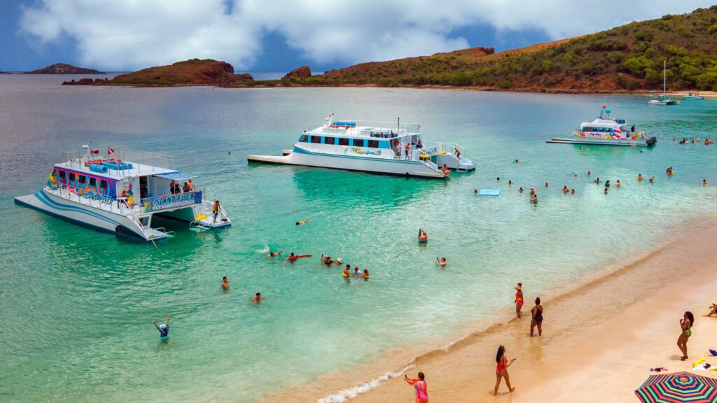 Vieques half-day snorkeling tour