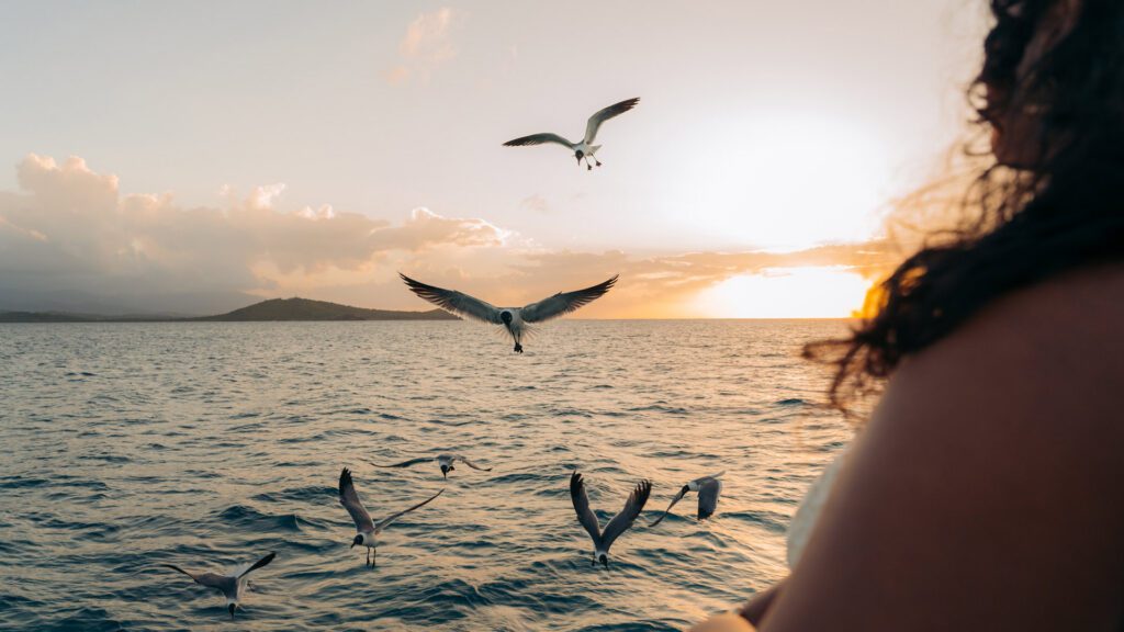 sunset sailing