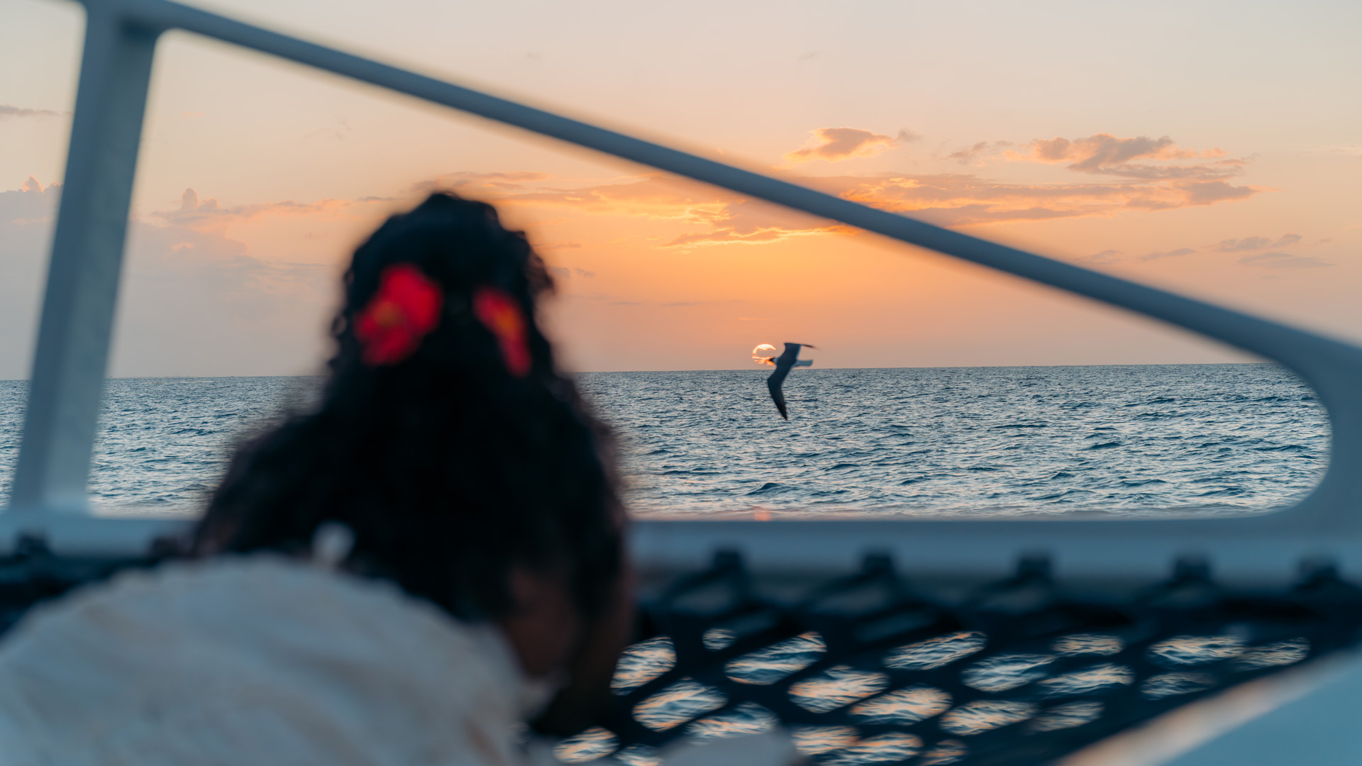 sunset sailing